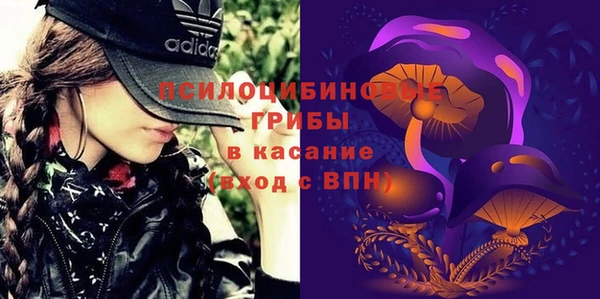 дурь Алзамай