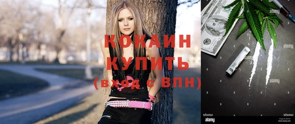 дурь Алзамай