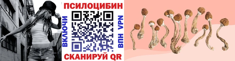 Псилоцибиновые грибы Psilocybe  Краснознаменск 
